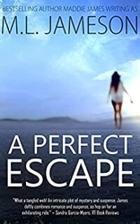 A Perfect Escape (A Dark Romantic Suspense Novel ) – Free